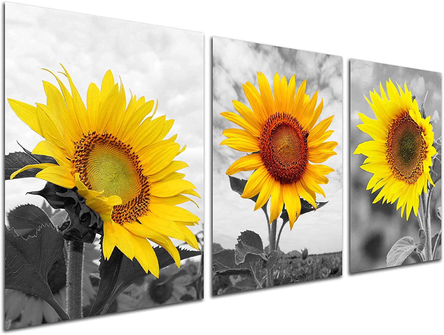 Get Inspired By the Wide Range of Sunflower Designs