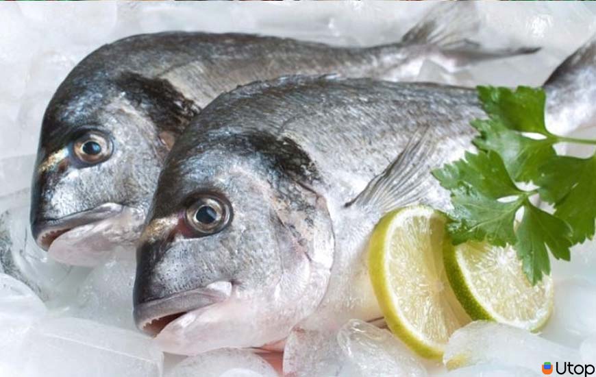 Cách chọn mua hải sản tươi ngon, không sợ nhầm cá