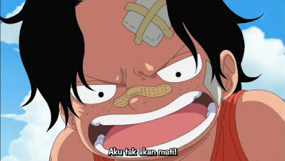 One Piece 503 Sub Indo