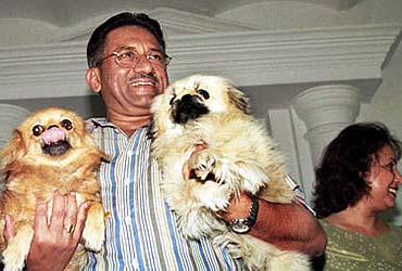 Image result for musharraf with his dogs