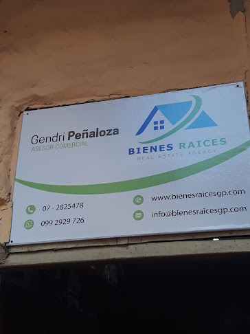 Biene Raices Real Estate Agency