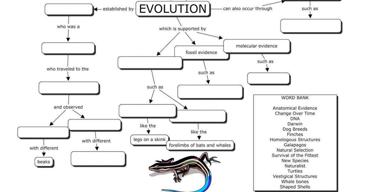 Evolution Concept Map Pdf Google Drive   FA TQ Qi5jwpC1krTFdXLelmxMLst26C7v6a1IemHeeP WKhwJnvU Nadsa NkmlMQA=w1200 H630 P