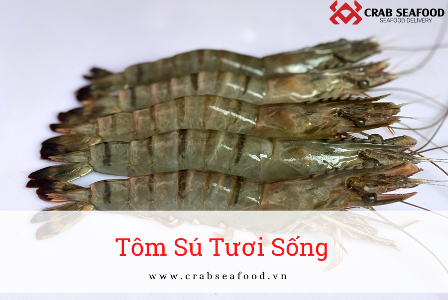 Cách chọn tôm tươi để hấp tôm ngon hơn