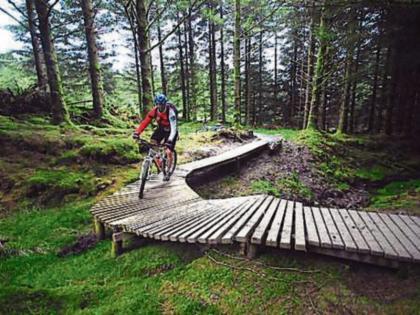 Image result for mountain biking ballyhoura