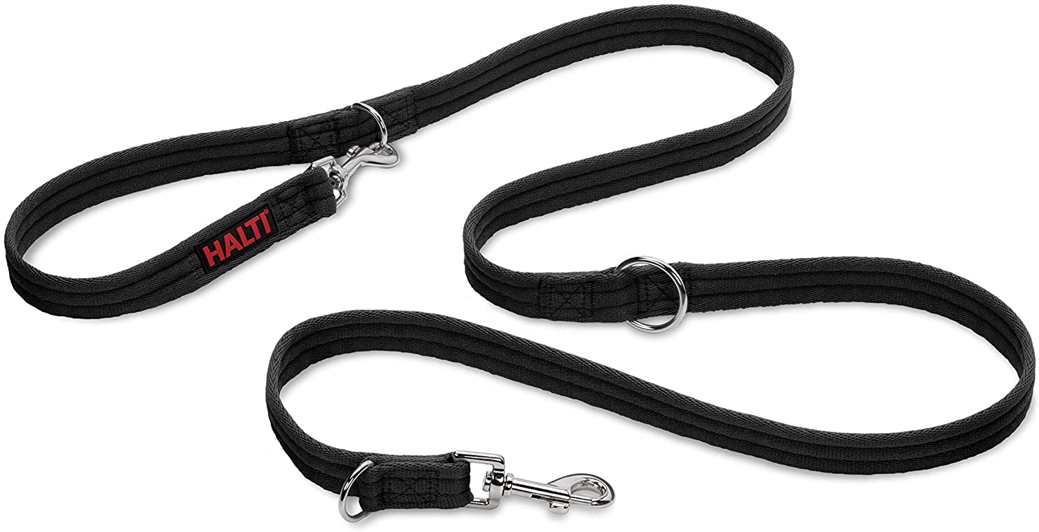 10 Best Dog and Puppy Training Leads – Zigzag