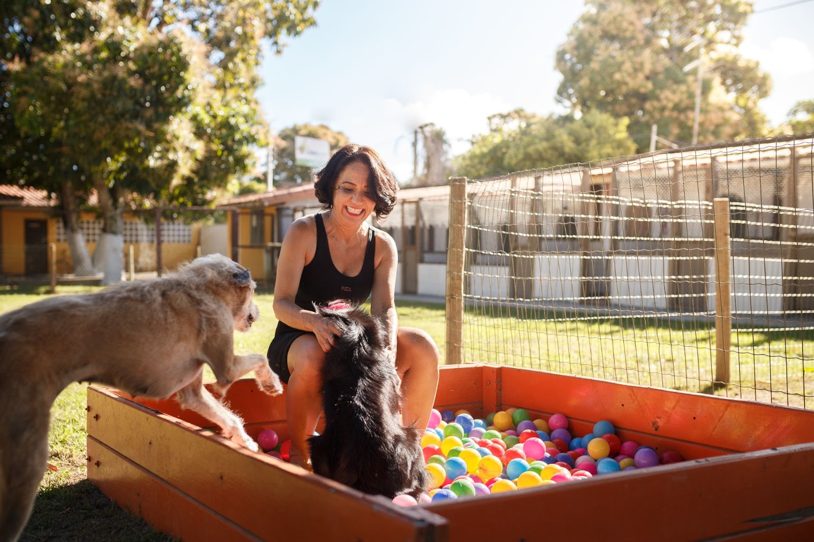 Veterinária sorrindo ao brincar com cachorros dentro de hotel pet 