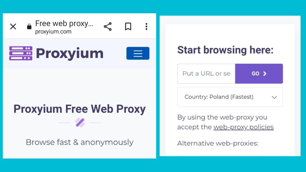 Use VPN Alternative Proxy Websites