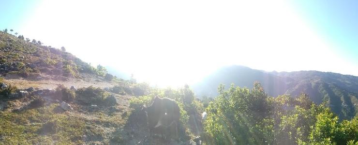 Baitadi District