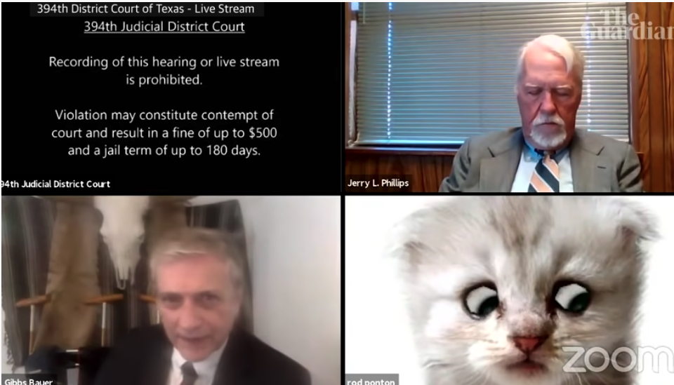 Image shows a corporate Zoom call where one person has accidentally used a cat filter.