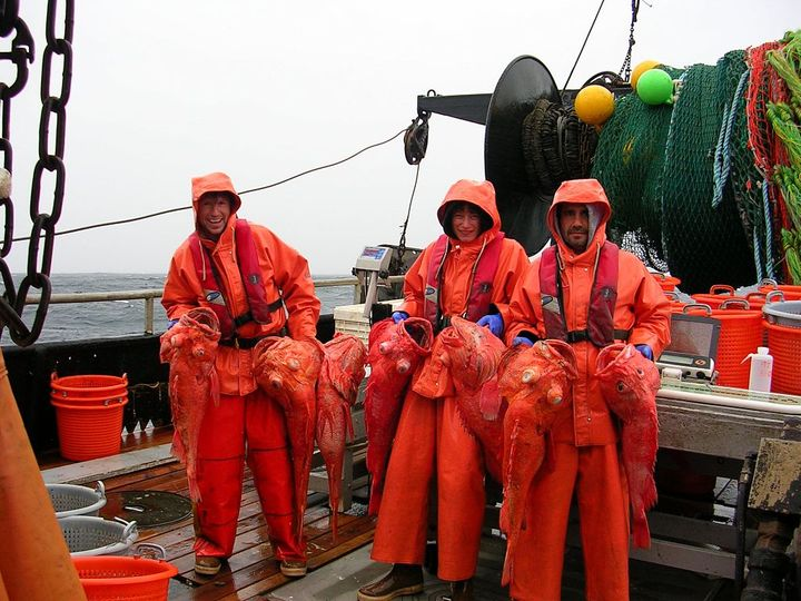 13. Shortraker Rockfish (157 years)