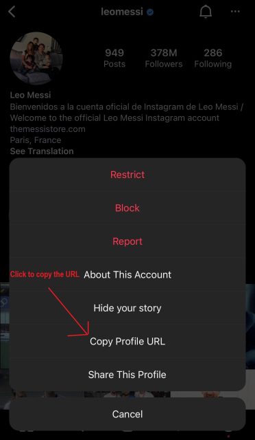 How to use SmiHub to view and download Instagram profile pictures?-2