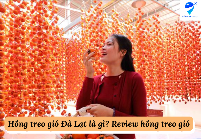 Hồng treo gió Đà Lạt là gì? Review hồng treo gió