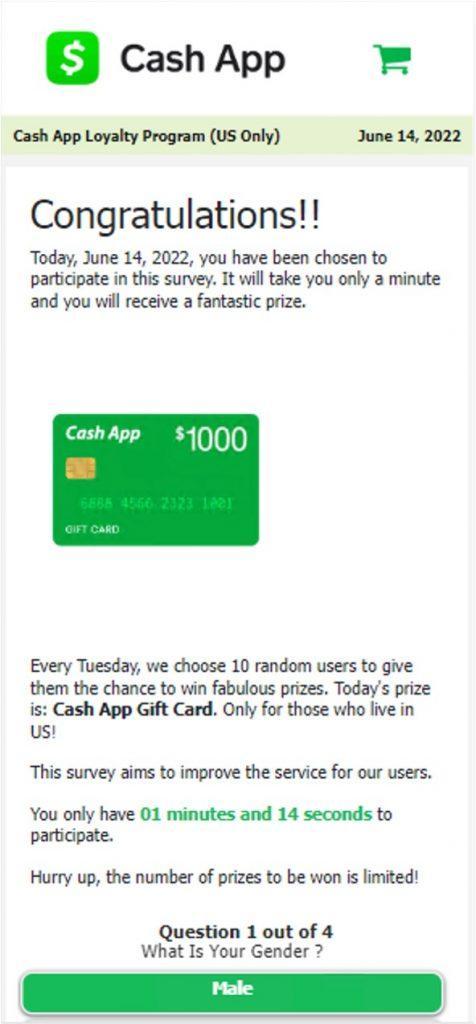 random person sent me money on cash app