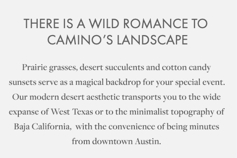 There is a wild romance to Camino's landscape. Prairie grasses, desert succulents and cotton candy sunsets serve as a magical backdrop for your special event. Our modern desert aesthetic transports you to the wide expanse of West Texas or to the minimalist topography of Baja California, with the convenience of being minutes from downtown Austin.
