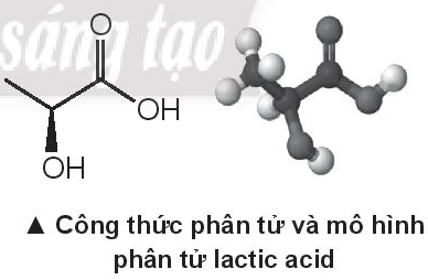 D:\Documents\SÁCH CHƯƠNG TRÌNH MỚI\Ảnh, video phụ trợ\Bài 14 lactic acid.PNG