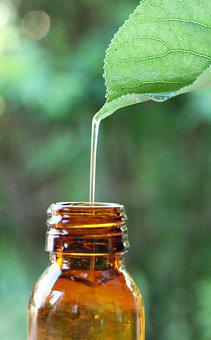 Essential Oil, Extract, Plants, Nature