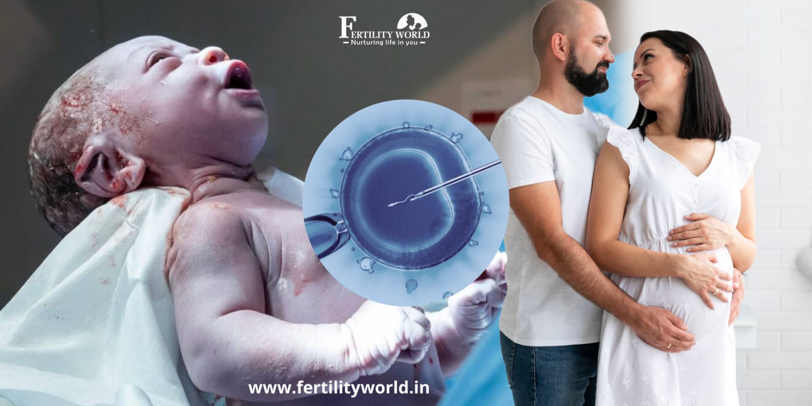 Guaranteed IVF in Meerut