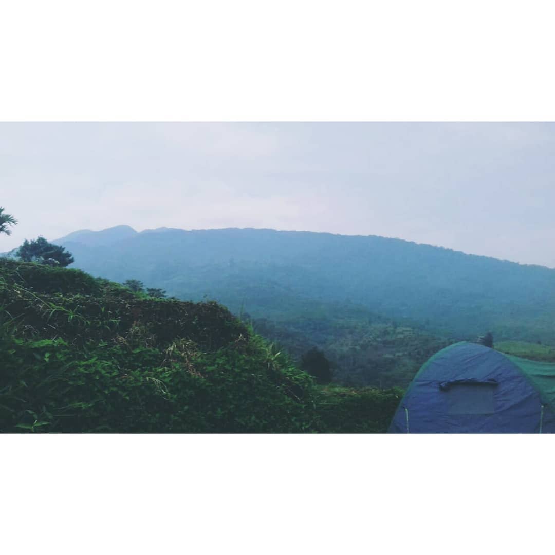 Flora fauna khas gunung patah