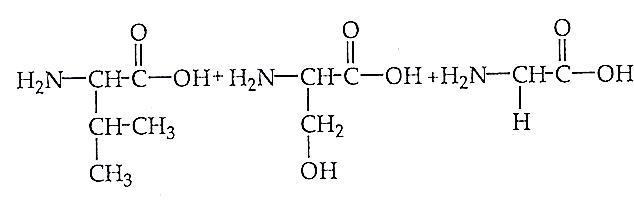C:\Users\TRI WINDARI\Pictures\2013-05-20 006\33.jpg