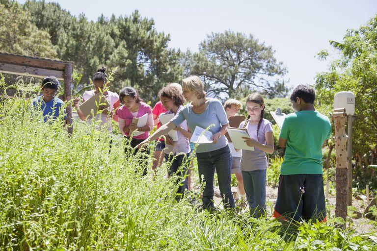 D:\Works\Order\Aug 2019\SP_AUG_30\Educational Value Of Field Trips.jpg