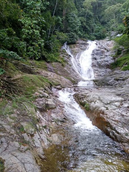 A waterfall in a forest

Description automatically generated