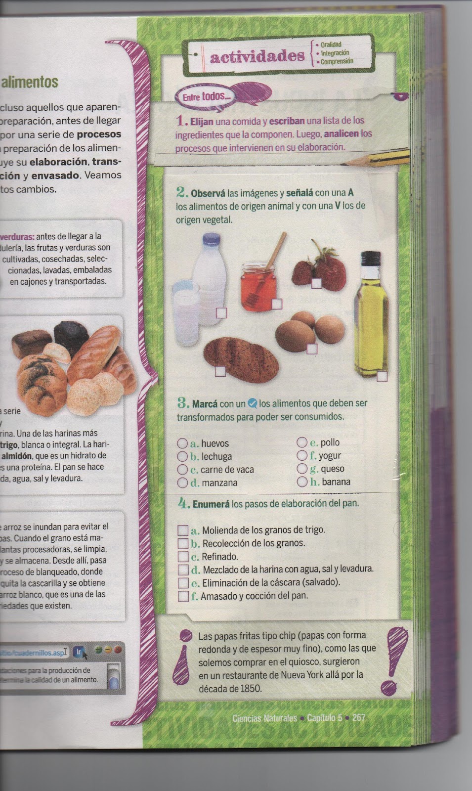 C:\Users\Usuario\Desktop\5º B-2021- GRETA\2021-05-05 ÑÑ\ÑÑ 001.jpg