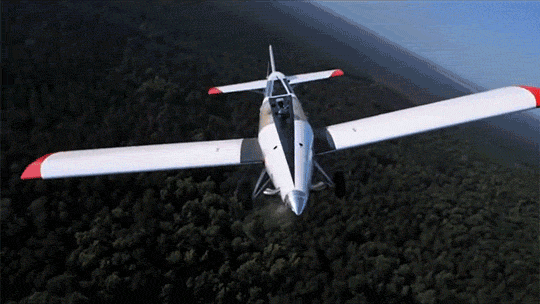 GIF h brasil - animated GIF on GIFER