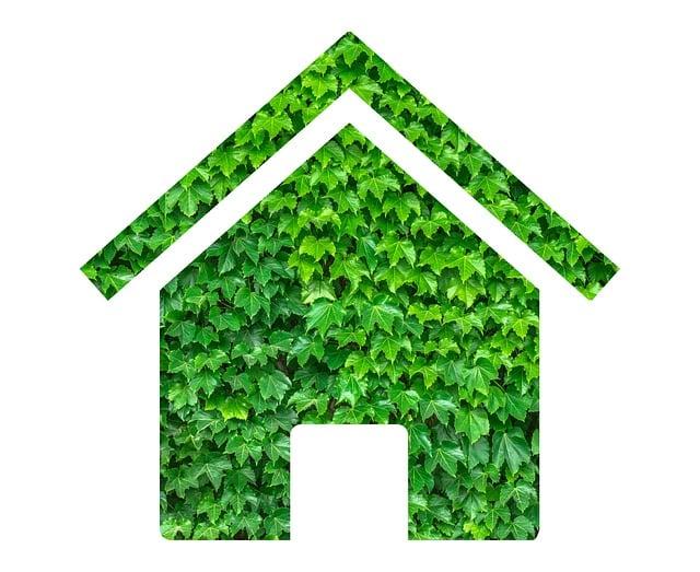 Free House Sustainable illustration and picture