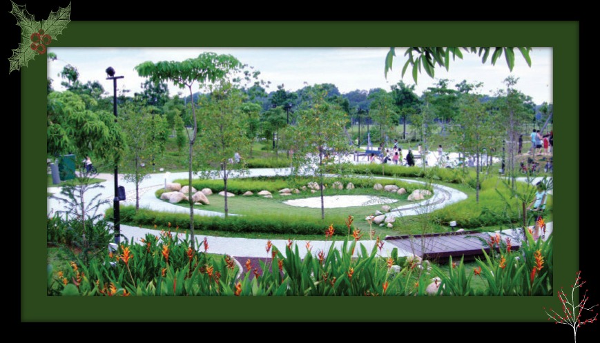 vegetated swale singapore88888888.jpg