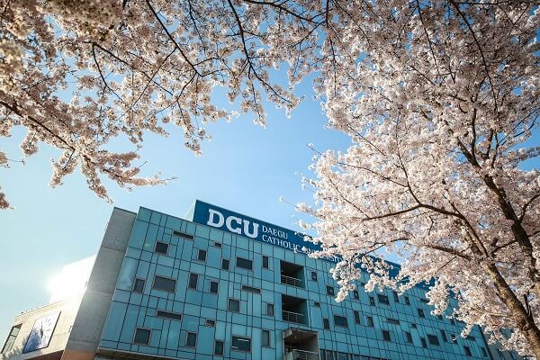 Khuôn viên Đại học Công giáo Daegu vào mùa xuân