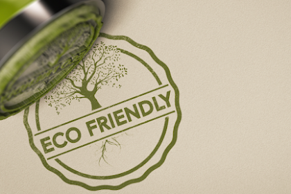  Who Makes Eco-Friendly Products? Trustworthy Brands