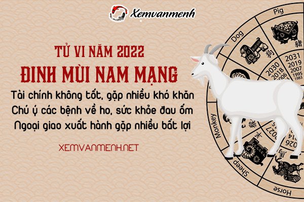 tu-vi-tuoi-dinh-mui-nam-2022-nam-mang-1967