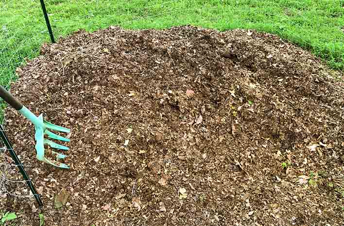 Worst Mulch for Vegetable Gardens