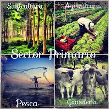 Resultado de imagen para sector primario