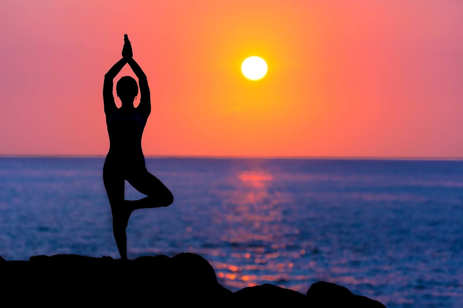 Living Life In Full Wellness