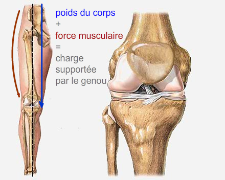 Chirurgie orthopédique pour traumatisme du genou à Aix-en-Provence -  Docteur Turcat