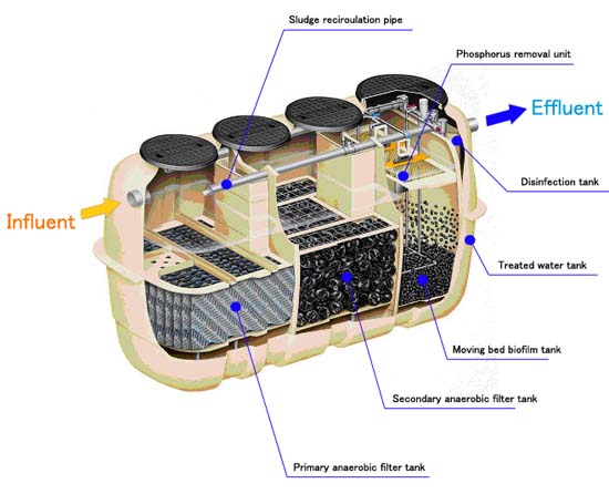 phân tử vi sinh trong cải tạo hệ thống xử lý nước thải