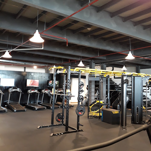 http://www.janinesgym.com/