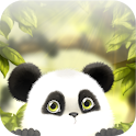 Panda Chub Live Wallpaper apk Download