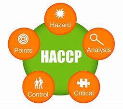 Image result for haccp