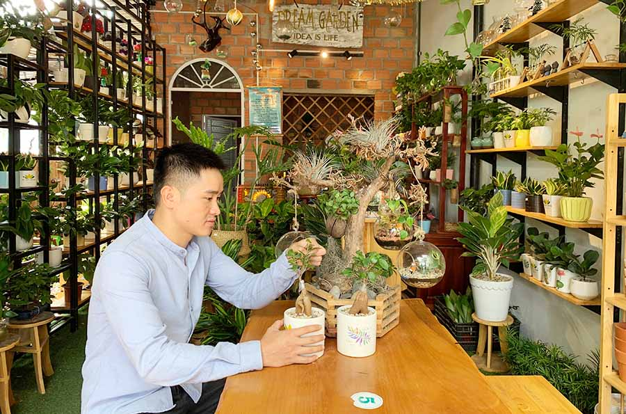 Kinh doanh cây cảnh