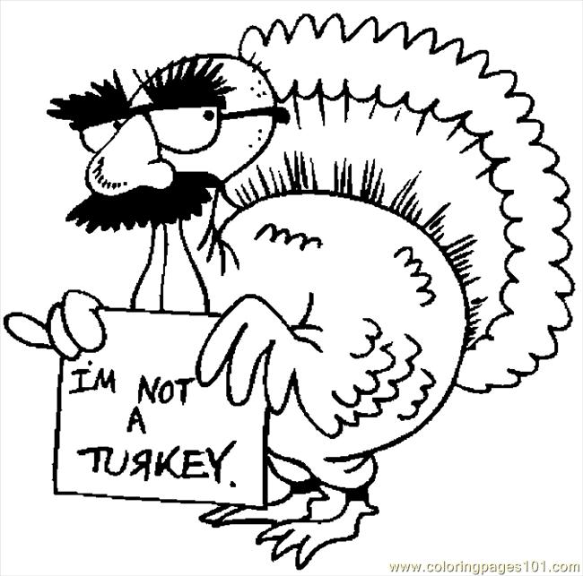 im_not_a_turkey_ixgme.jpg