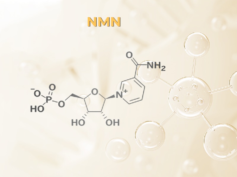 Hoạt chất NMN là gì?
