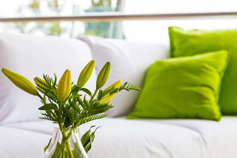 Exploring the World of Green Throw Pillows: Elevate Your Home Decor