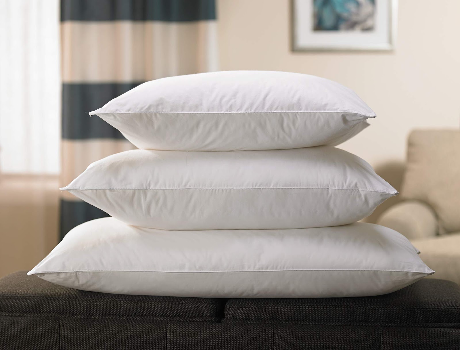 Fairfield Poly-Fil Basic Decorative Throw Pillows Inserts (2 Pack) 2 Count  (Pack of 1) White