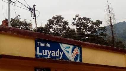 Tienda Luyady