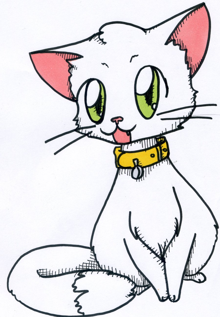 anime cat by Yuki564 on deviantART