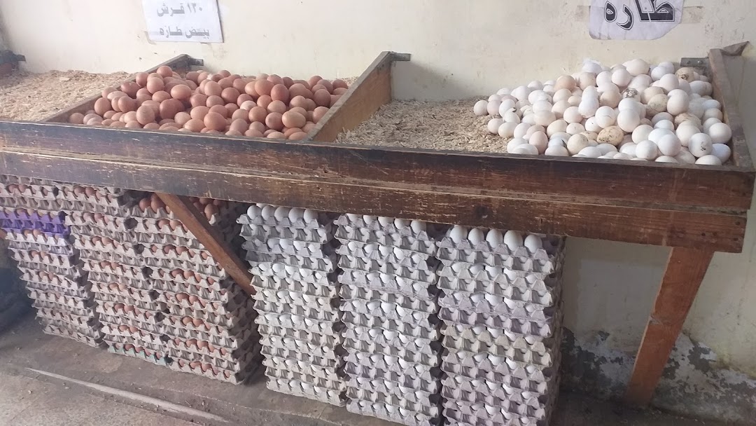 مزرعة المناهرى لتجارة البيض
