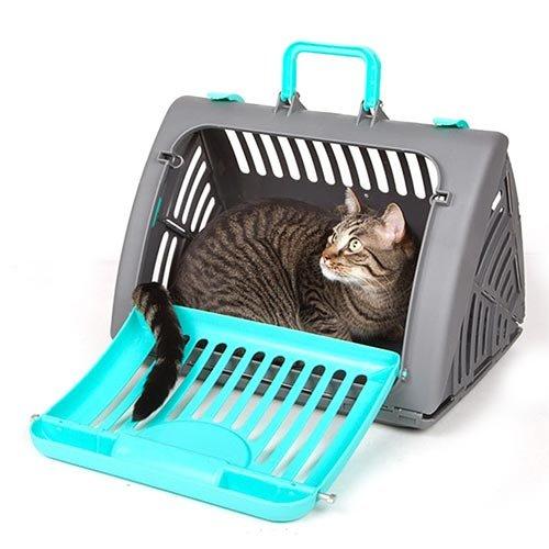 Comment faire entrer mon chat dans sa caisse de transport ? | My Happy Pet  France