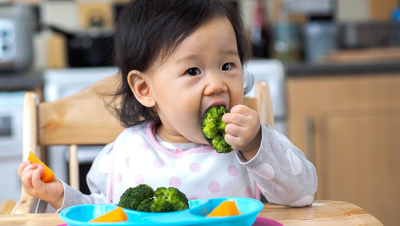 Baby Meal Plan: 12 Month Old | Happy Family Organics